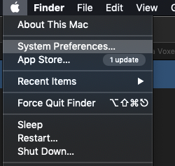 System preferences option in macOS where you can find Program options