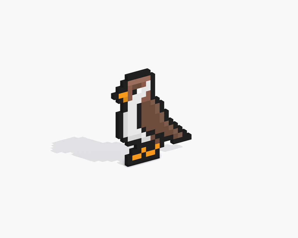 3D Pixel Art Bird