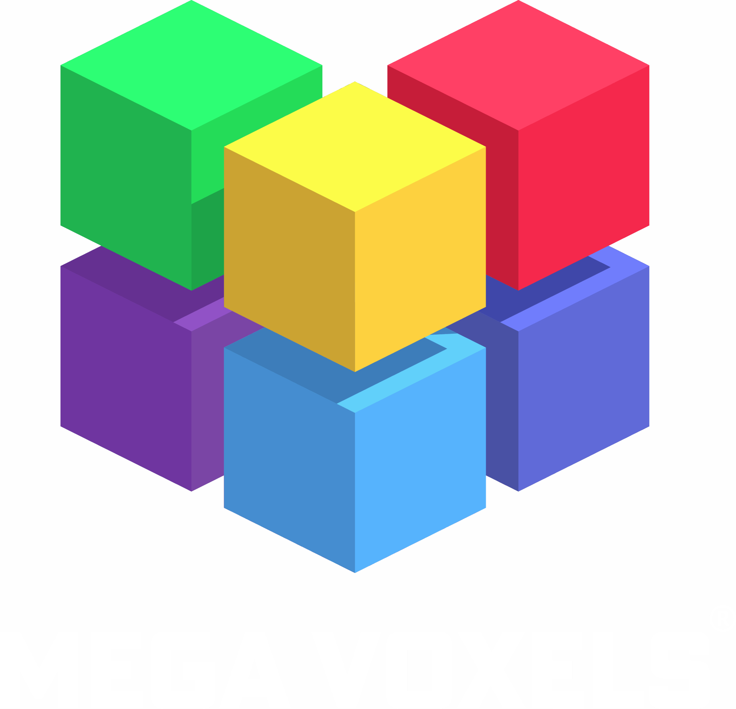 mega-voxels